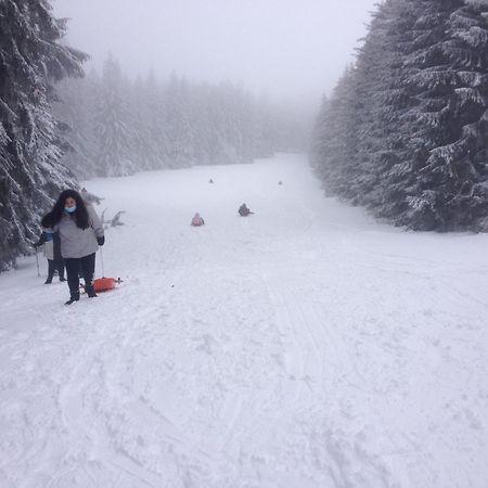 Apartament Duplex Superbe Vue Montagne Bourboule Zewnętrze zdjęcie